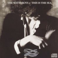 The Whole of The Moon • The Waterboys